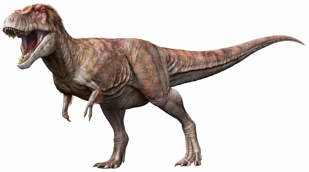 長崎市で新たに大型ティラノサウルス科の化石が発見されました 